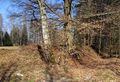 Vorschaubild der Version vom 14:15, 26. Mär. 2018