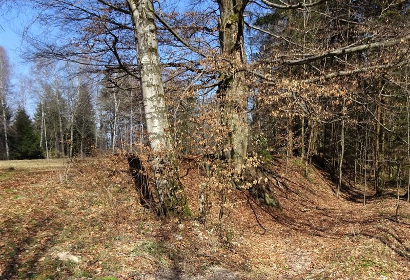 Datei:Ringwall Kirchholz.JPG