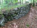 Holzriese am Müllnerberg
