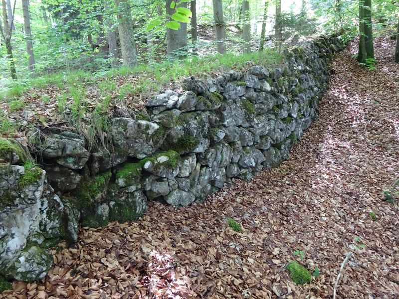 Datei:Holzriese1.JPG