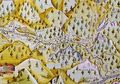 Karte mit dem Neuweg, 1616