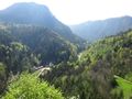 Blick Richtung Thumsee
