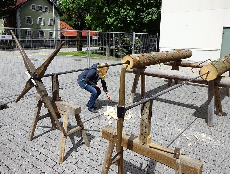 Datei:Deichelbohrer.jpg