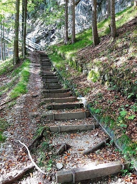 Datei:Steigleitung.JPG