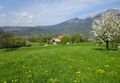 Blick vom Streitbichl