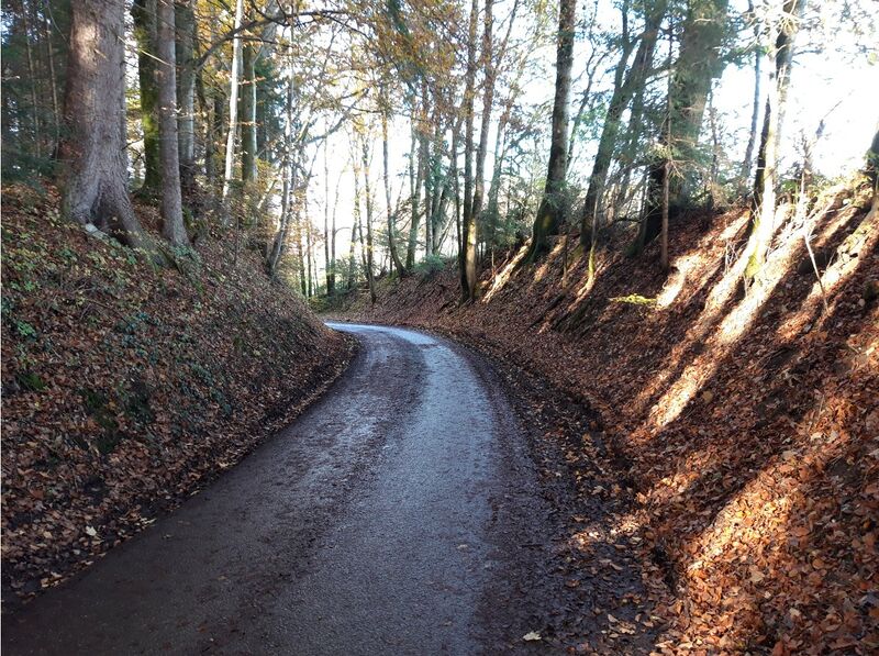 Datei:Salzstraße bei Teisendorf.jpg