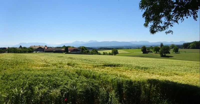Datei:Hohenbergham.JPG