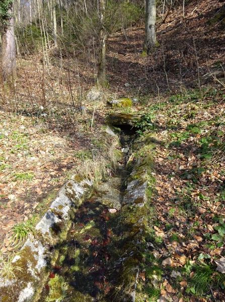 Datei:Kirchholzquelle.JPG