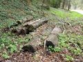 Vorschaubild der Version vom 18:09, 12. Apr. 2017