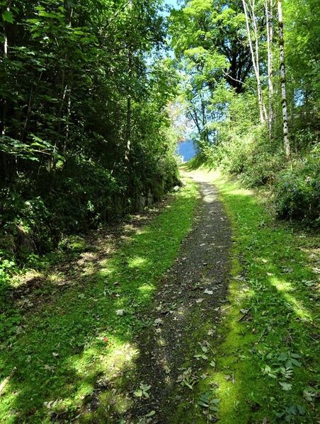 Datei:Alte Straße.JPG