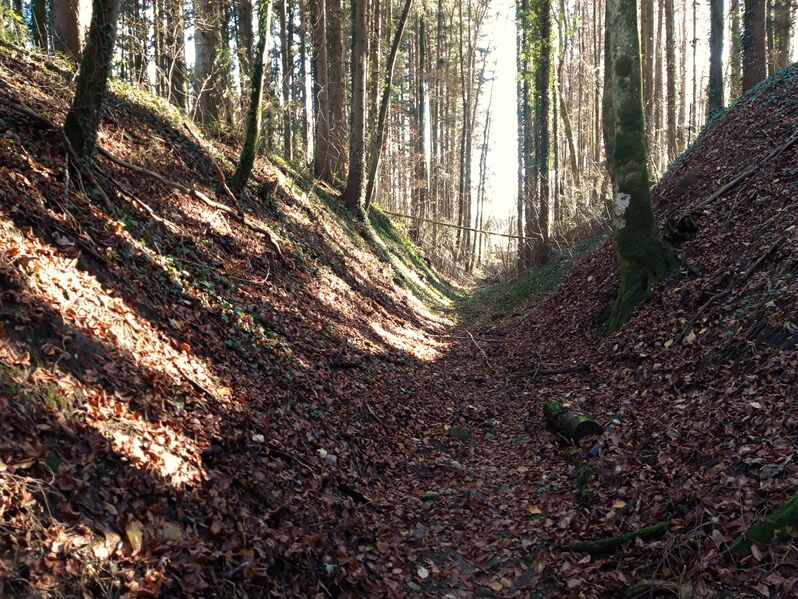 Datei:Salzstraße, Hohlweg bei Anger.jpg